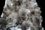 Smoky Quartz Crystal Cluster - Diamond Hill, SC #69784-3